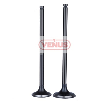 Engine_valve